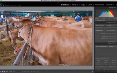 Curso de Lightroom Classic – Capítulo 22: Módulo biblioteca: Introducción al histograma