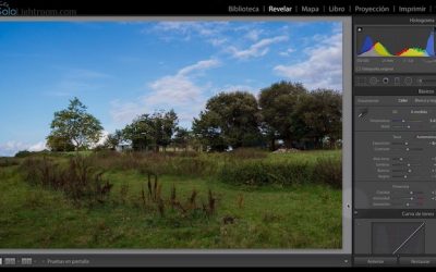 Curso de Lightroom Classic – Capítulo 25: Módulo revelado: ajustes básicos (III), la presencia